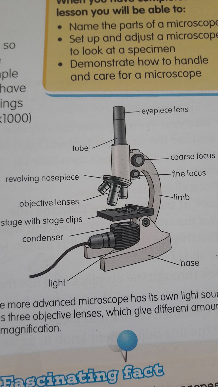 Microscope Parts Reading Orla Owen