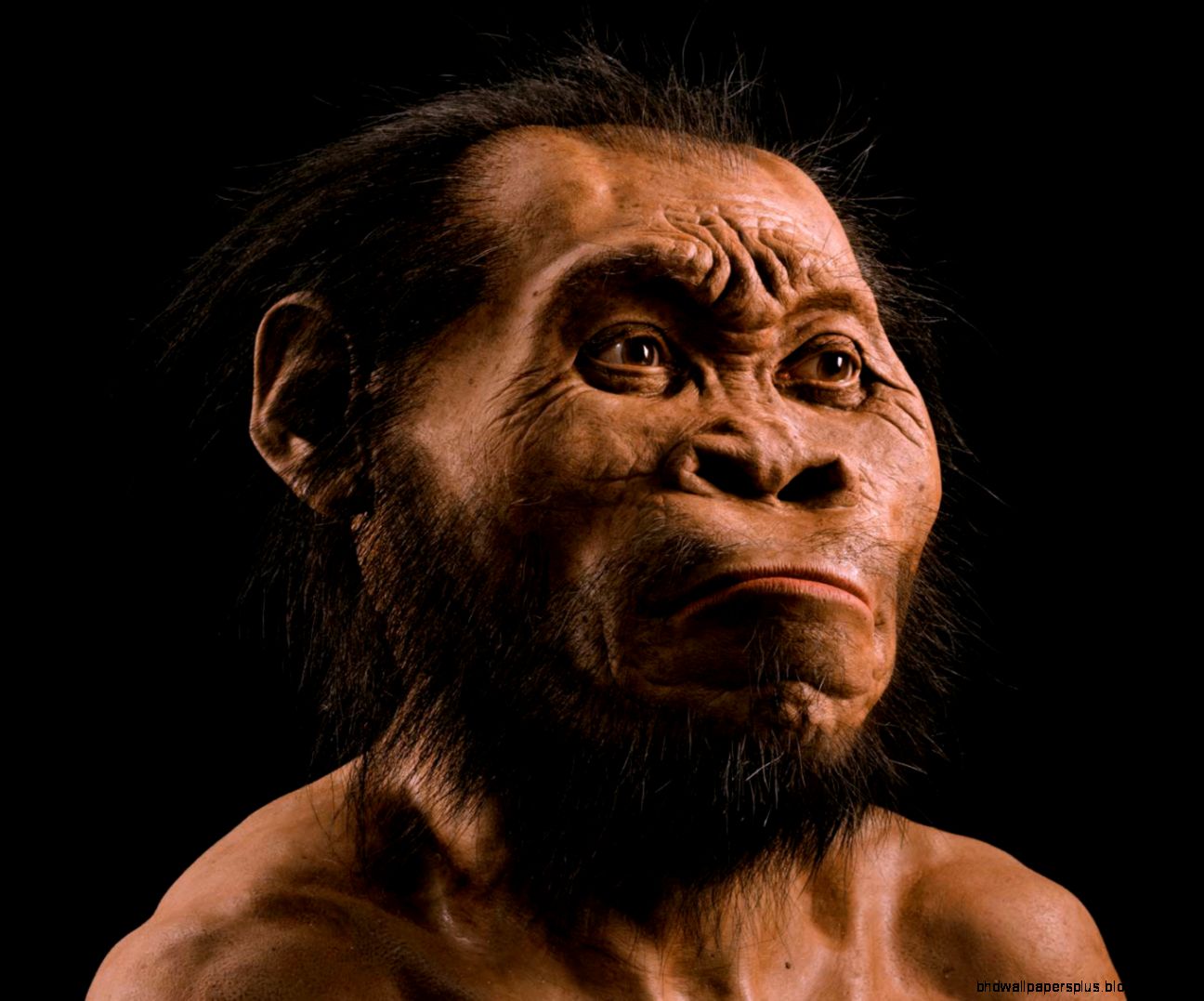 This Face Changes the Human Story But How