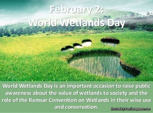 World Wetlands day