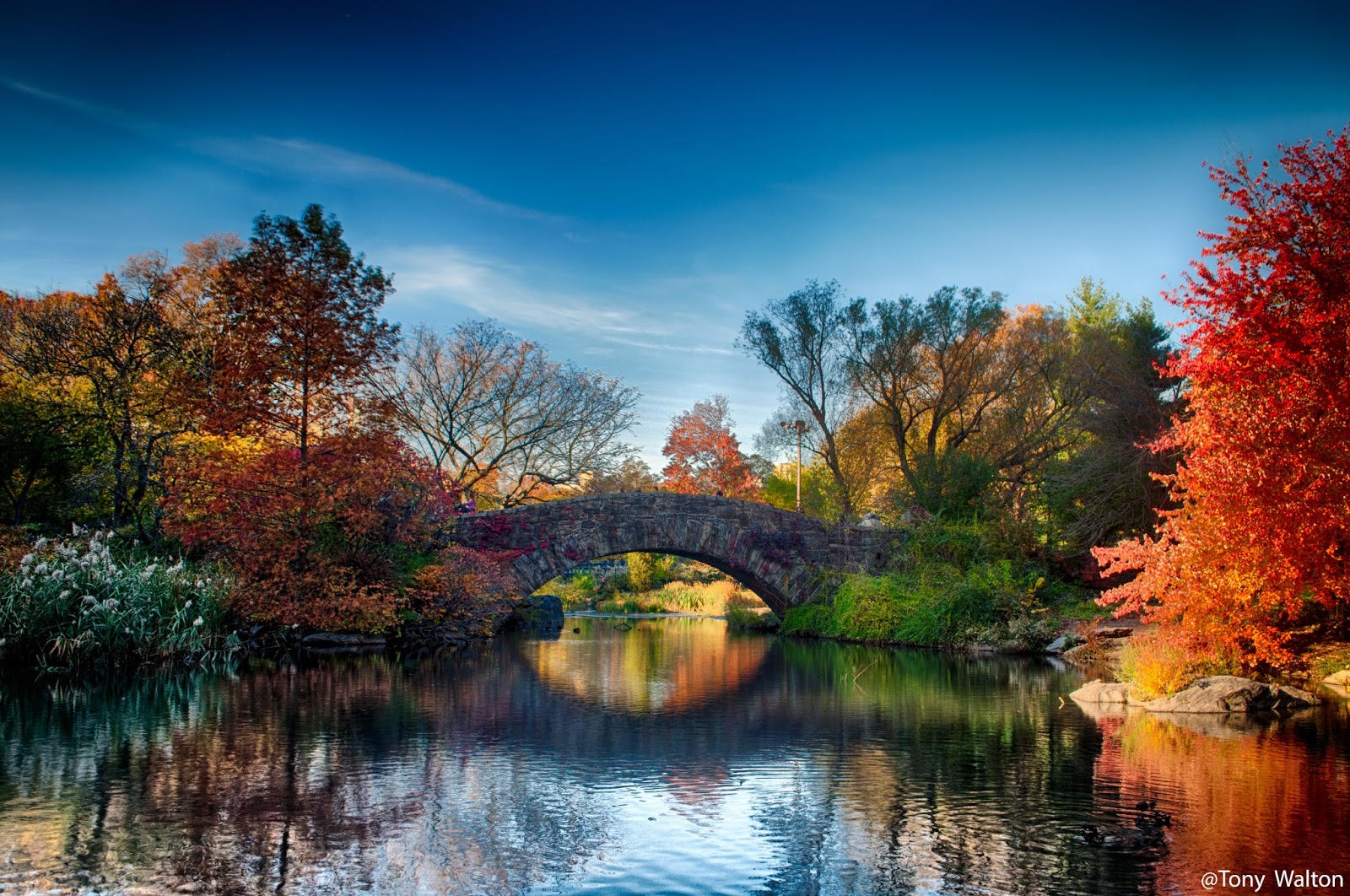 Tony Walton: New York City, Gapstow Bridge, Central Park Landscapes ...