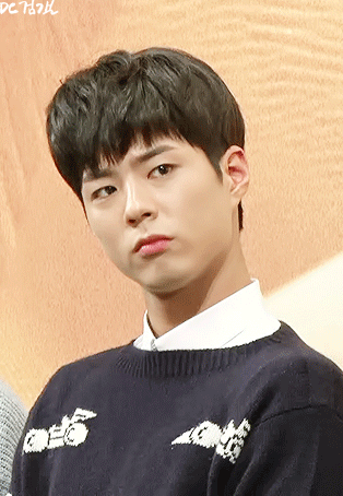 어제 박보검 꽃청춘 기자회견+시사회 | 인스티즈