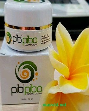 Jual Gamat Cream Pibipibo Jual Gamat Cream Pibipibo