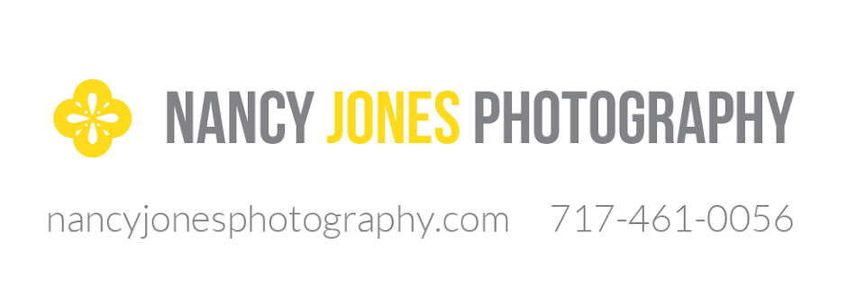 Nancy Jones Photography & Design: Central PA Wedding Photographer