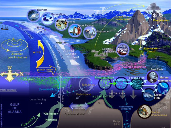 Erin Kelp's Reading Seminar Blog: Text Set #3 six of earths layers diagram 