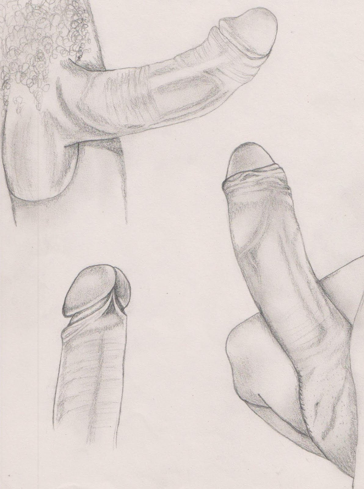Outline Of Penis.