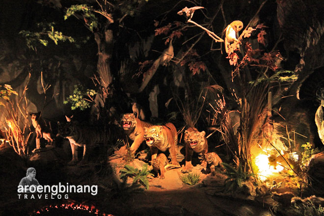 rahmat international wildlife museum gallery