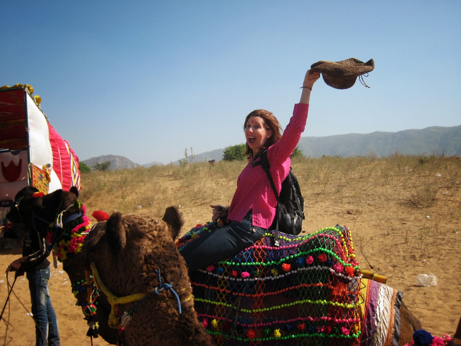 iBeck: Camels! Part II