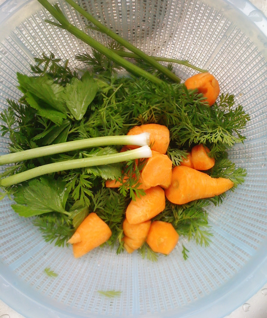 Alessandra Zecchini Kakiage, perfect when I don't know what to do (and