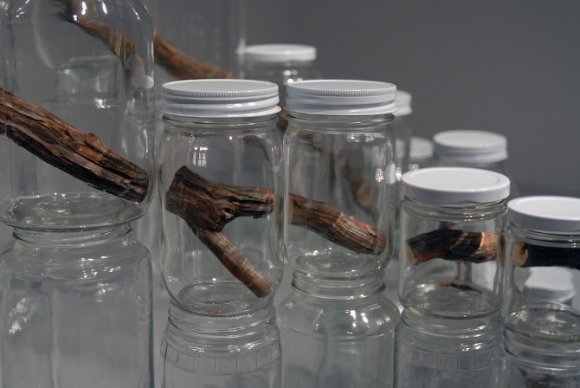 naoko ito instalação arte natureza urbana jarras de vidro potes galhos árvores