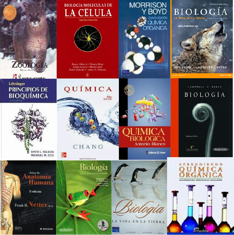 PDF Biologia Helena Curtis Edicion Septima