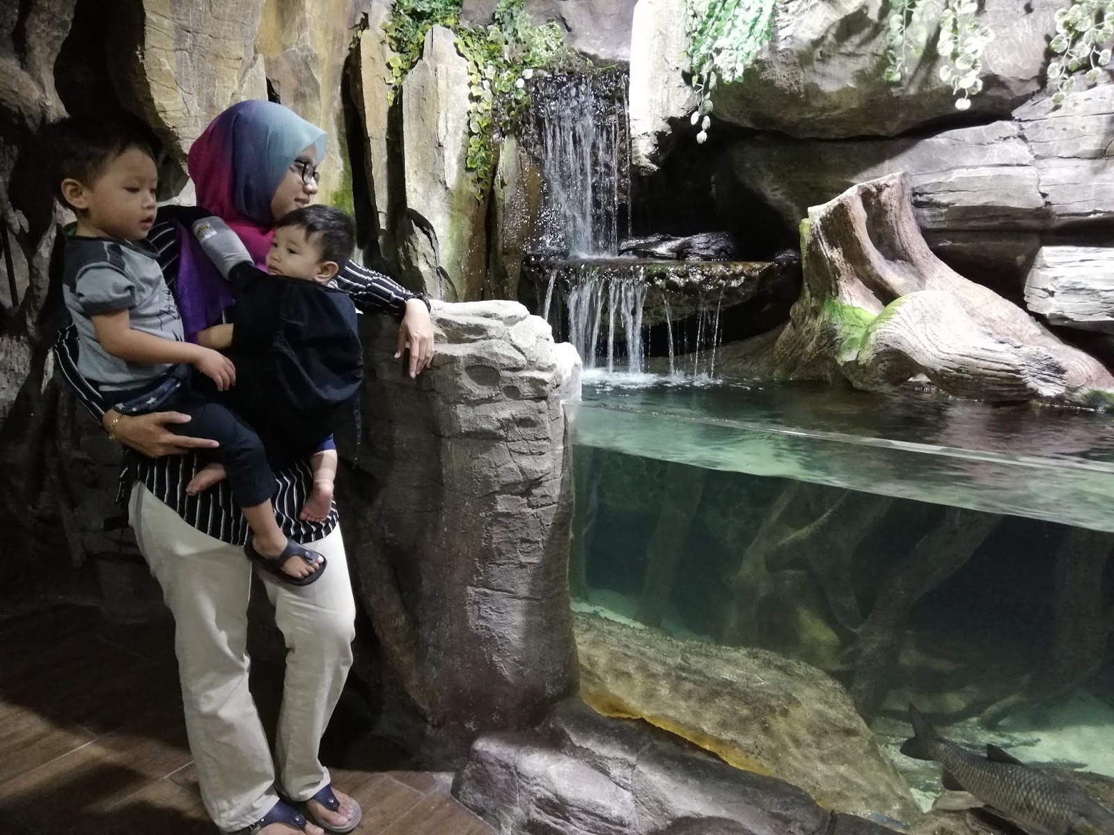 Blue Coral Aquarium KL Tower