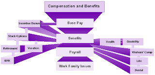 compensation based benefits planning web advantages technology system