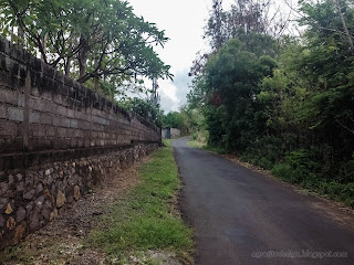 Natural Road Of The Village At Umeanyar, Buleleng Regency, North Bali, Indonesia