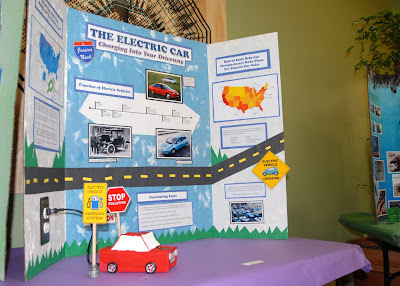 Gnasher Family Blog: School Science Fair 2011