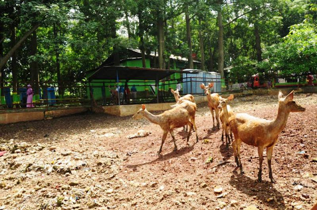 Subhanallah, Bukannya Dijauhi Warga, TPA Ini Justru Menjadi Objek Wisata