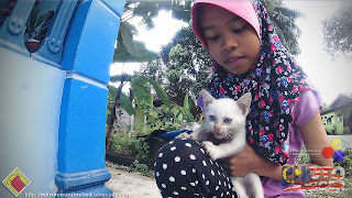 Inaz dan anak kucing