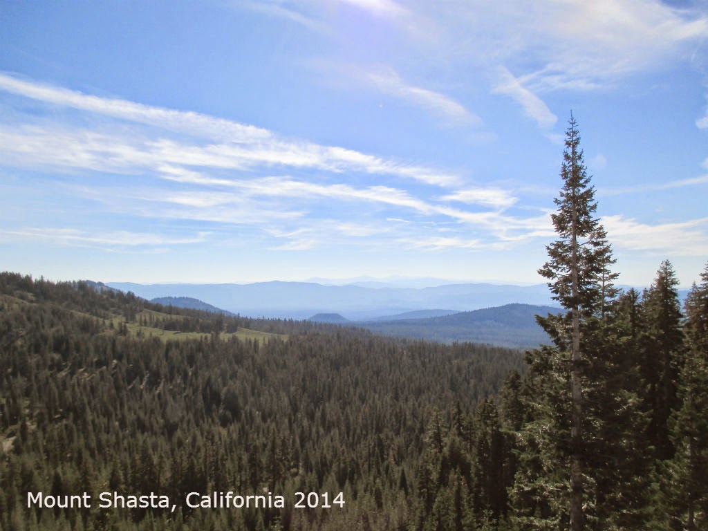 Photos of a Bicycle Ride DOWN Mount Shasta in CA - gvan42