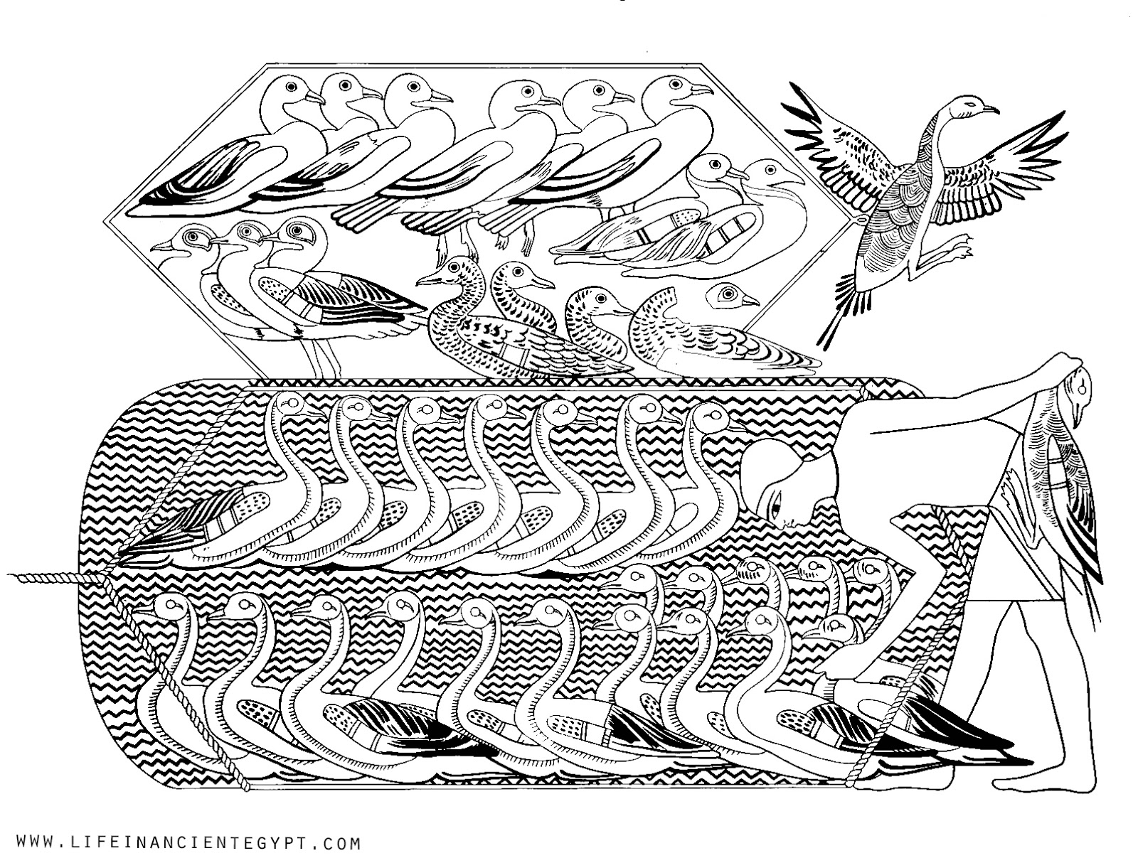 Free Printable Ancient Egyptian Coloring Page Agriculture