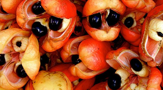 Inilah 6 Buah Paling Unik yang Belum Pernah Anda Temui Inilah 6 Buah Paling Unik yang Belum Pernah Anda Temui