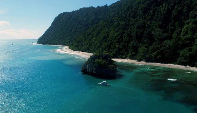 PANTAI JEEN WOMOM, PENELURAN PENYU BELIMBING TERBESAR DI DUNIA