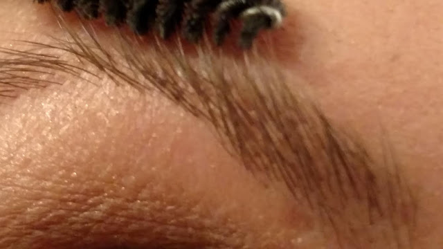 feathered brow brushing