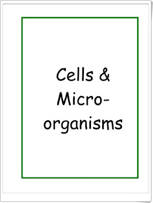 http://www.educa.madrid.org/web/colegio1/aicole/sos6P/contenidos/03_Cells/Cells.pdf