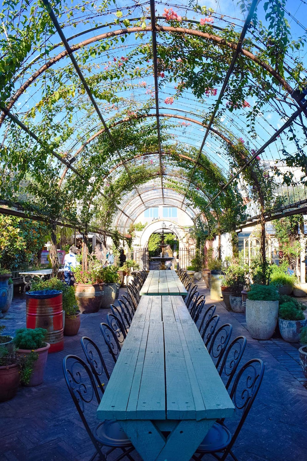 the garden at the grounds of alexandria