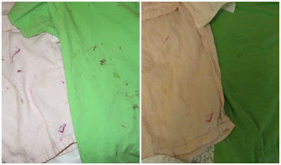 CONTROLLING Craziness: Saving Crayon Stained Clothes
