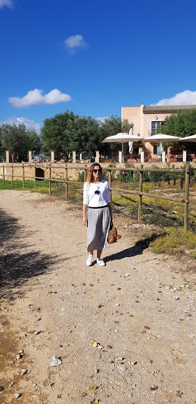 camiseta flamenco azul