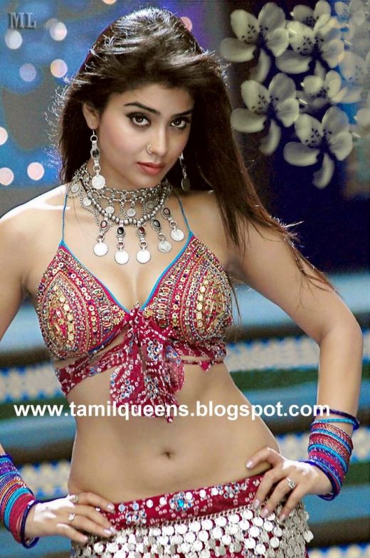 Shreya navel pic - (2) - Shreya pics