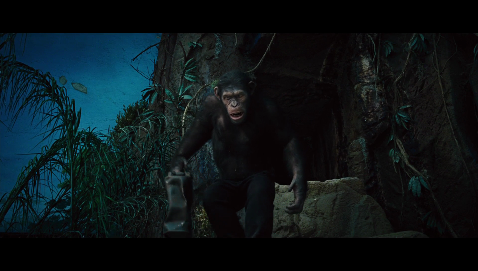 Rise of the Planet of the Apes 2011 - IMDb