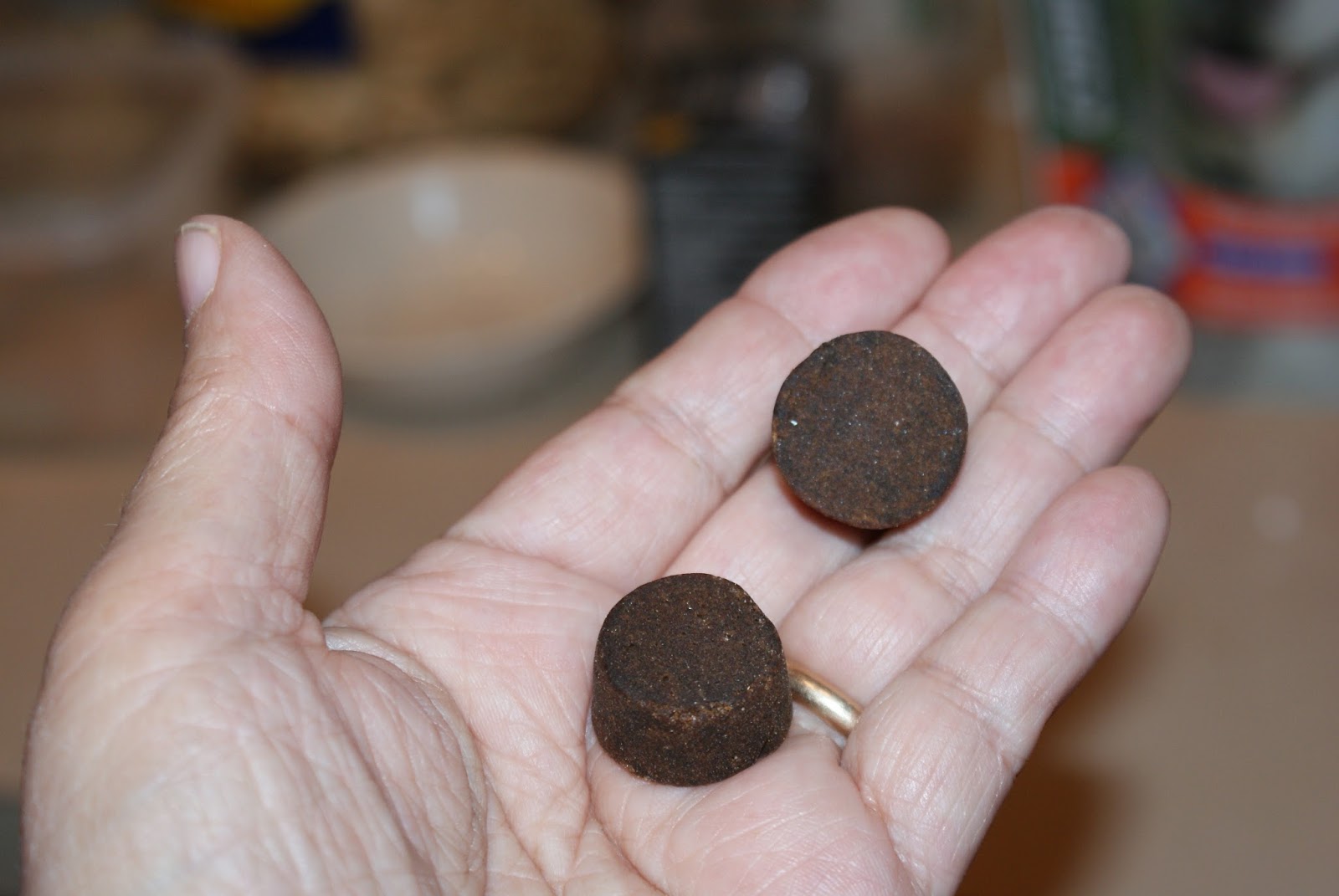 The Portuguese Water Blog Fudge Does A Review