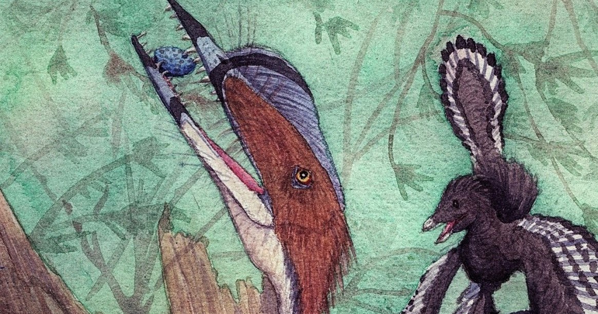 darwinopterus