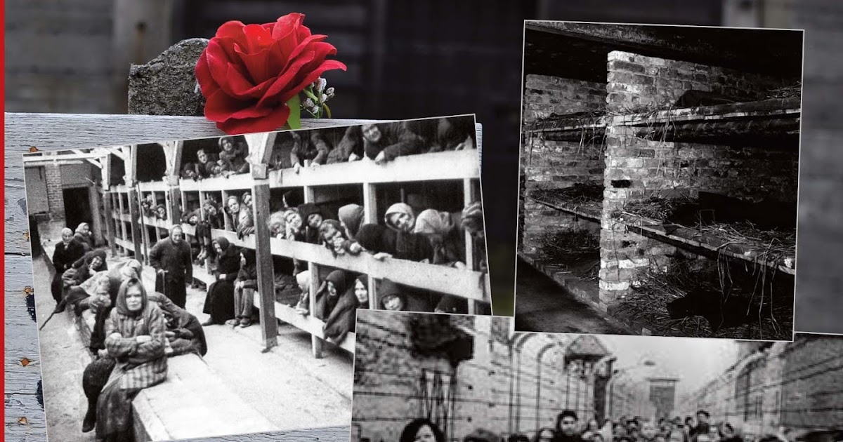 Lectura Audio Myrna Grant Calatoria Contra Curentului