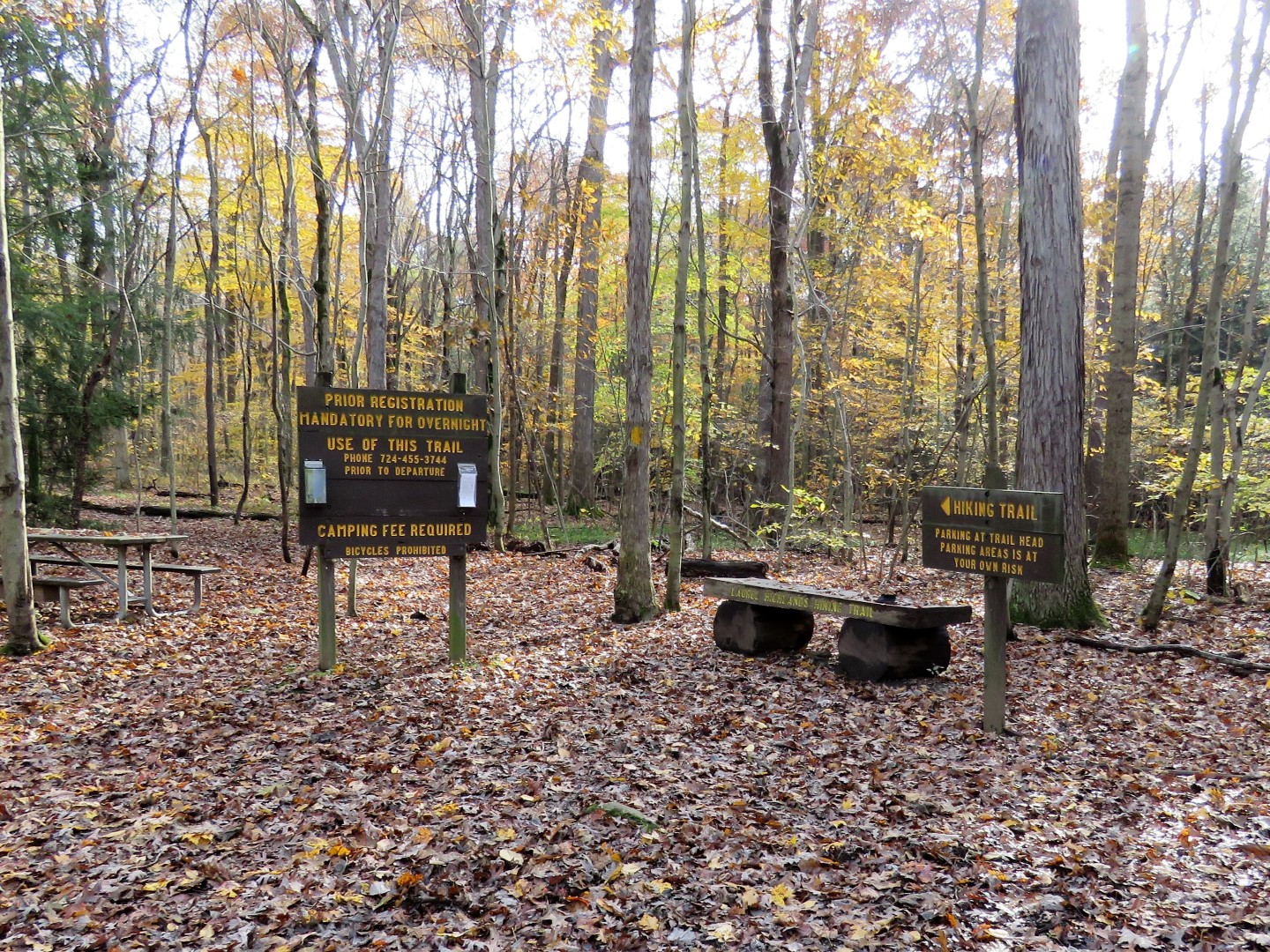 Gone Hikin' Laurel Ridge State Park, PA Laurel Highlands Hiking Trail Mile 70 Conemaugh