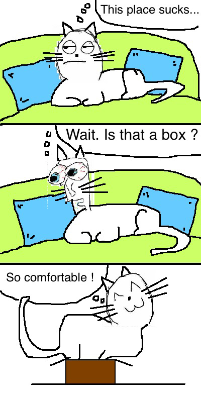 Funny Cat Logic Box