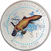 Rarest-Coin-You-Own?