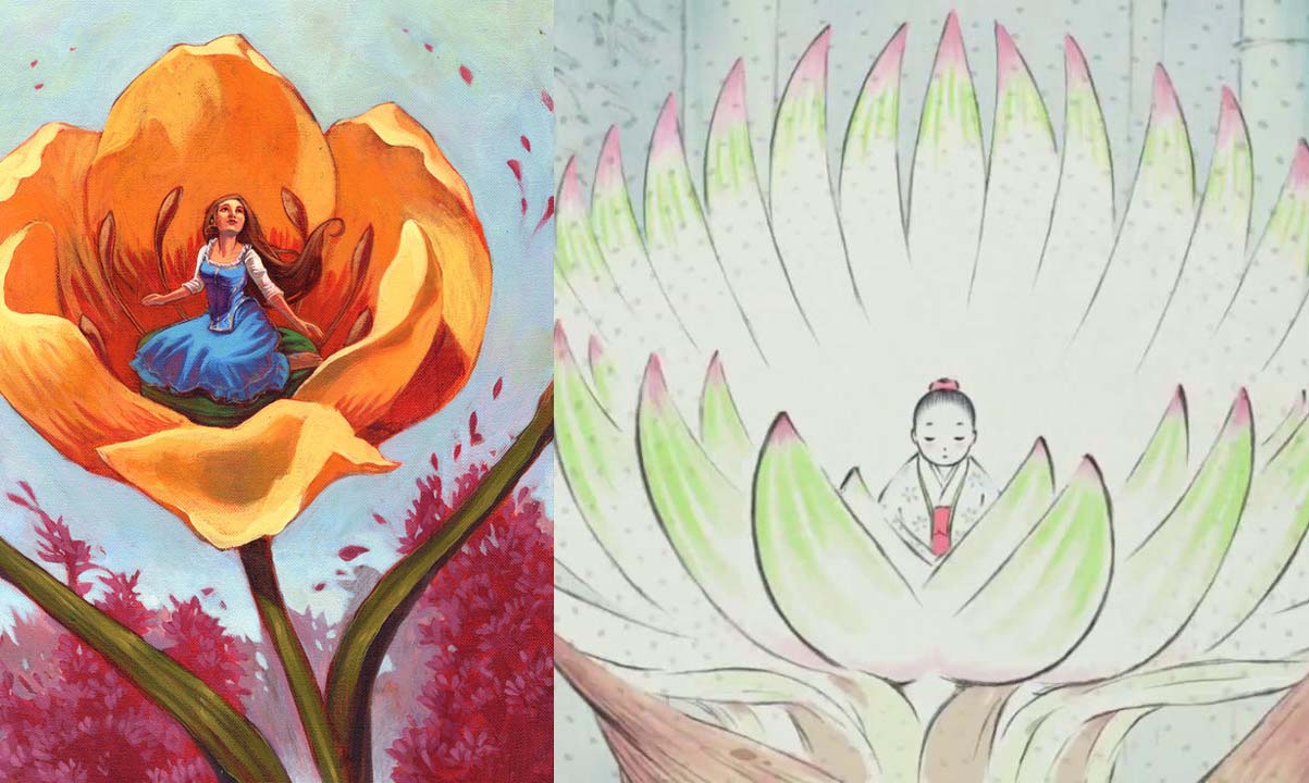 Get 2017 Kamehawke Free HD Get Wallpaper 2017 Kamehawke For Android