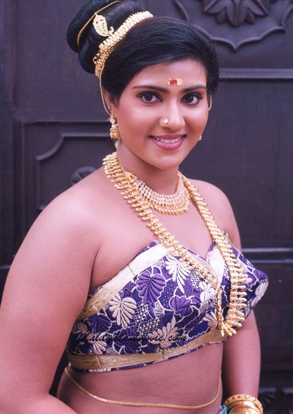 Source. actresshotrare.blogspot.com. actress rare collections: vani vishwan...