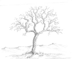 trees pencil drawing simple tree drawings outline sketch leaves without clipart template coloring draw sketches realistic clip branches aunt templates