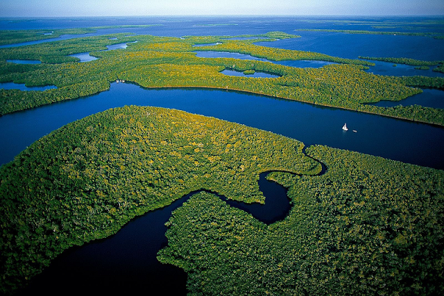 Resultado de imagen de Everglades miami"