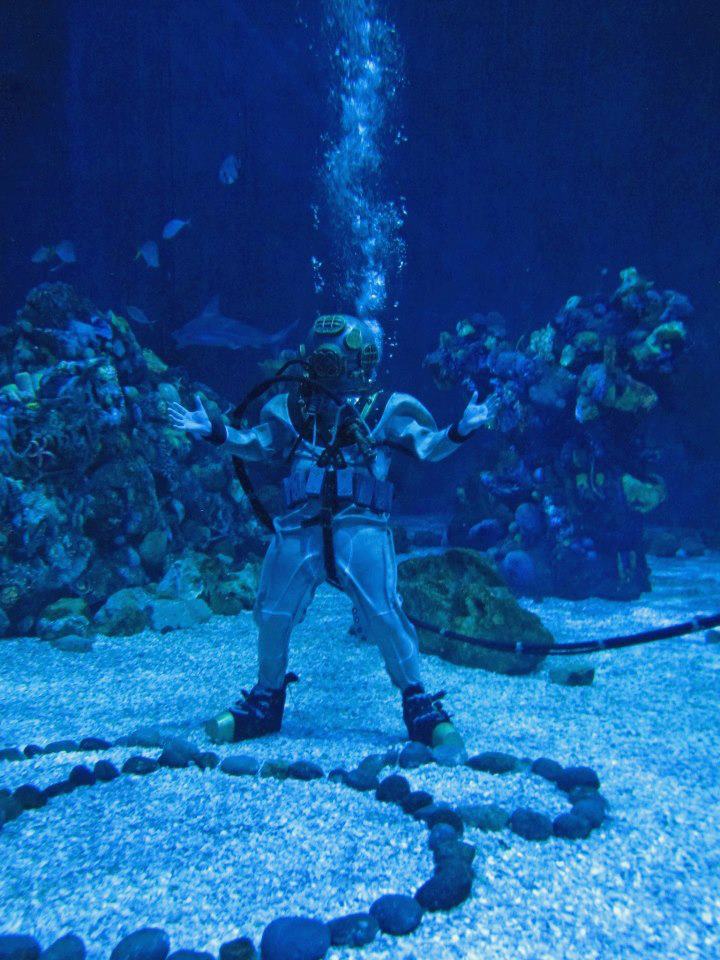 Dive into History The History of Diving Museum Collections Blog