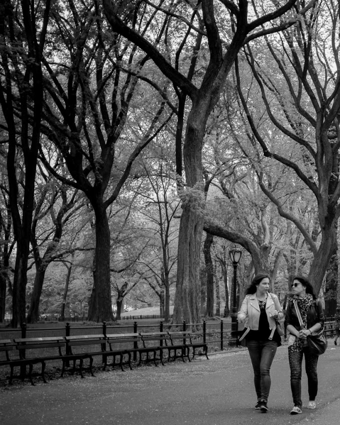 New York City May 2016 photo by Corey Templeton.Walking through Central Park.