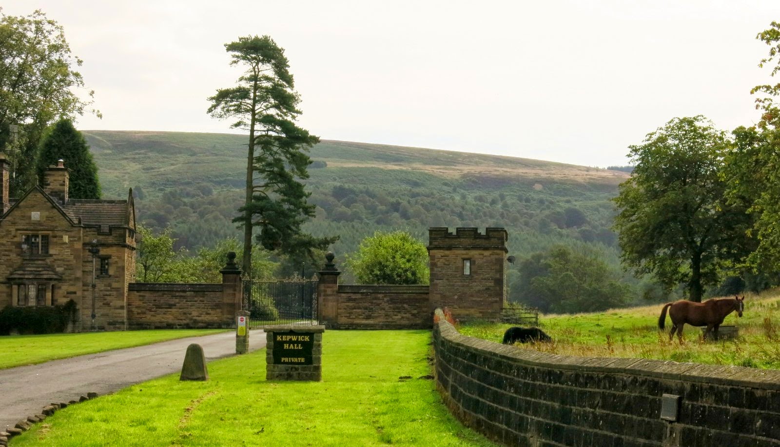 Walking in North Yorkshire: August 2014