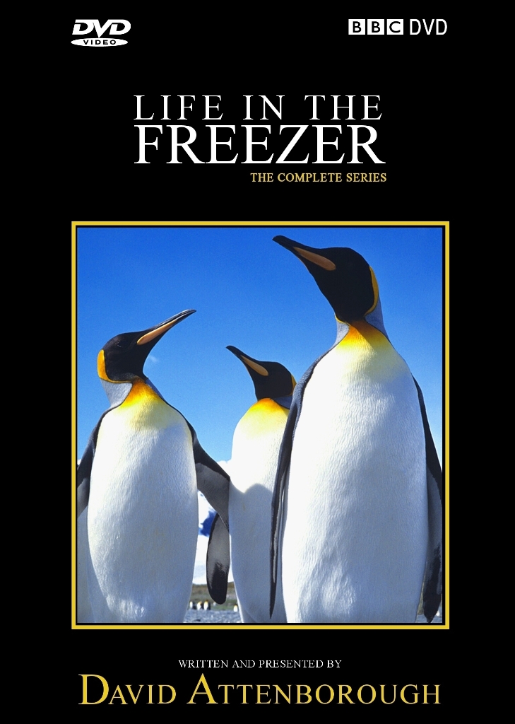 BBC Natural World Documentary Review Download Life in the freezer