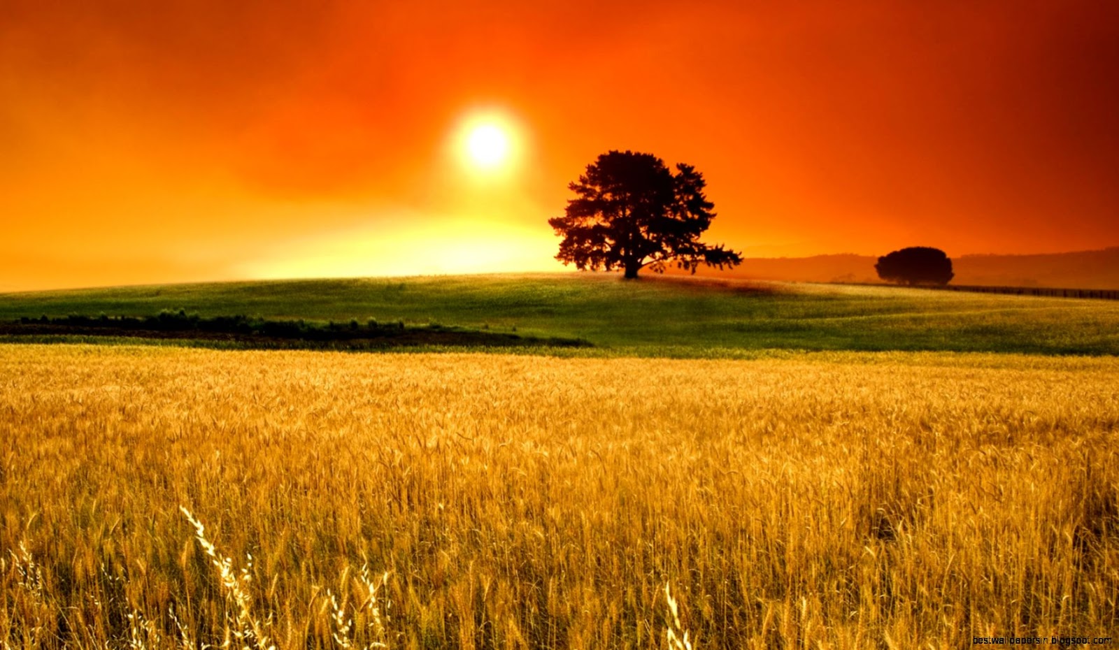 Nice Desktop Computers