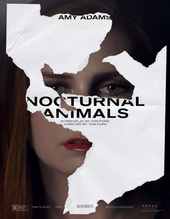 Poster Of Nocturnal Animals 2016 English 750MB DVDScr x264 Free Download Watch Online downloadhub.in