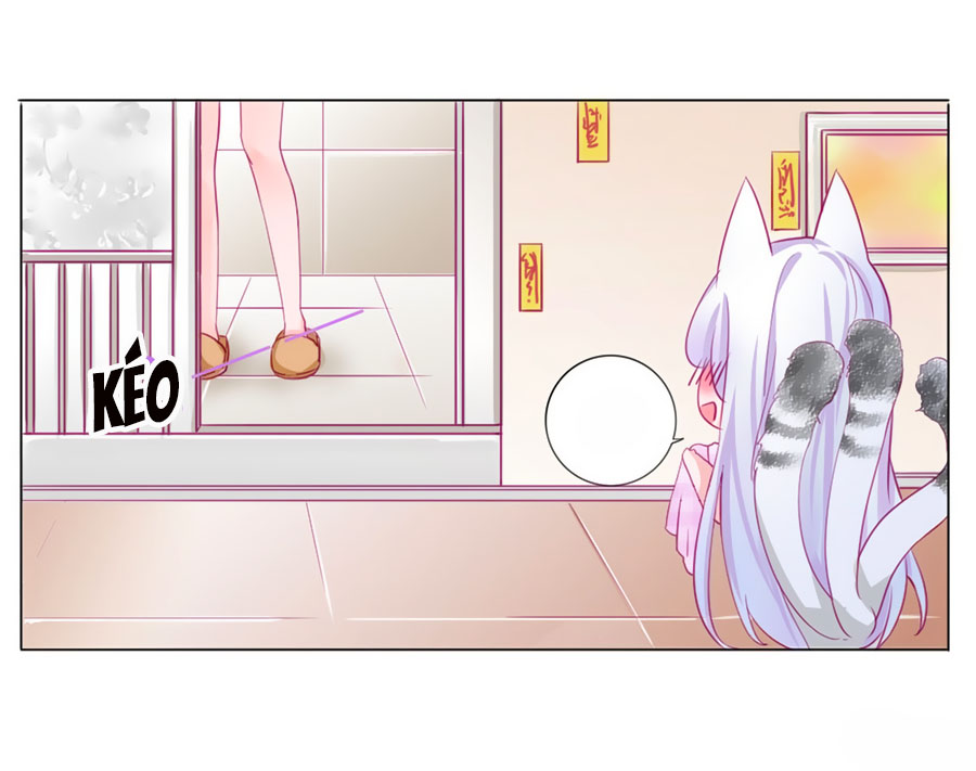 HELLO Miêu Tiên Sinh Chap 2 - Next Chap 3