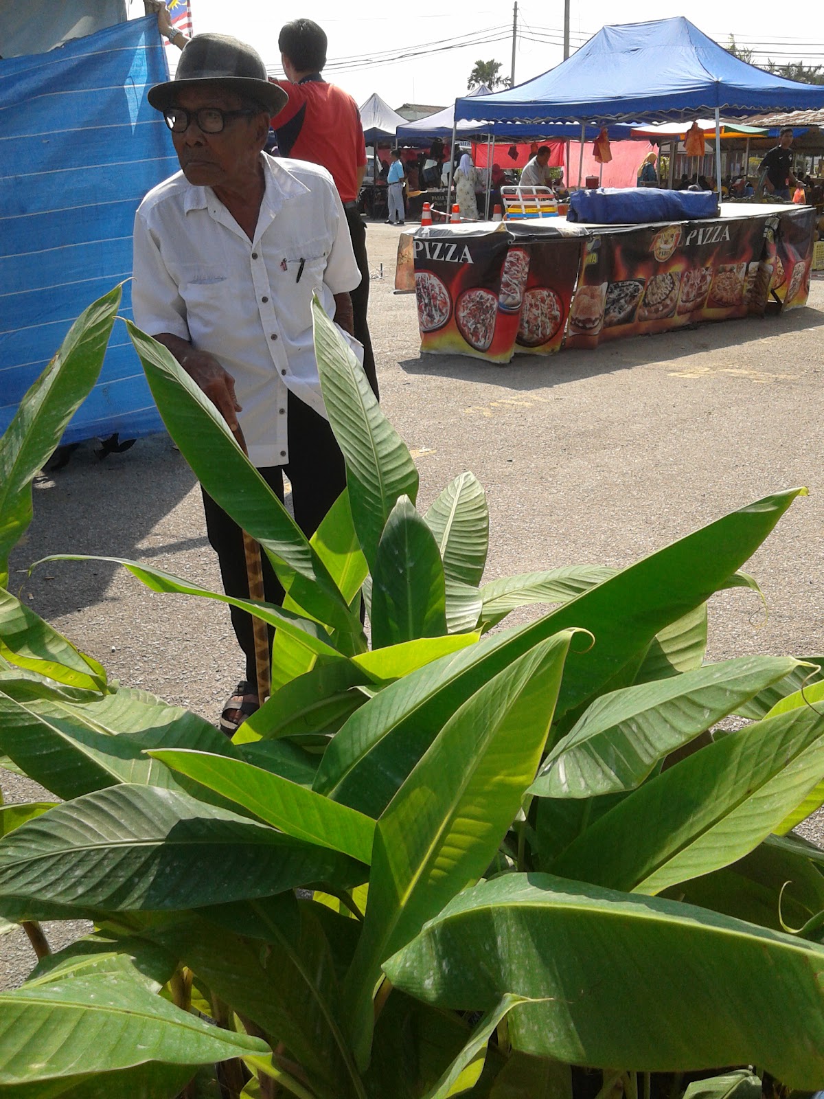 JOHOR PLANT TECH SDN BHD AKTIVITI SYARIKAT