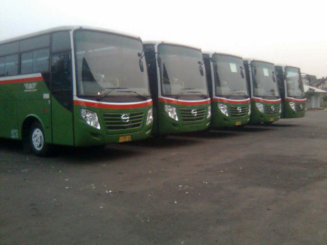 Mayasari Bakti AC | Info Bus World